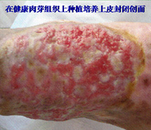 Ggpoker官网-不凡成就非凡,相信品牌的力量