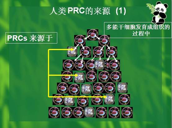 Ggpoker官网-不凡成就非凡,相信品牌的力量