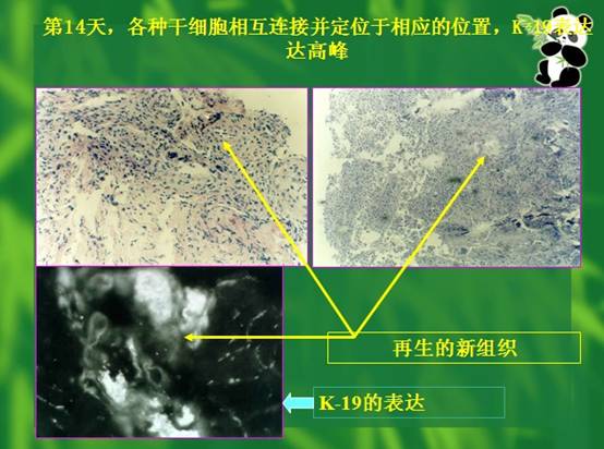 Ggpoker官网-不凡成就非凡,相信品牌的力量