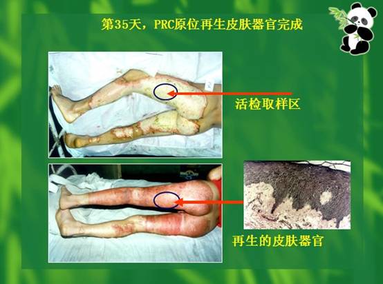 Ggpoker官网-不凡成就非凡,相信品牌的力量